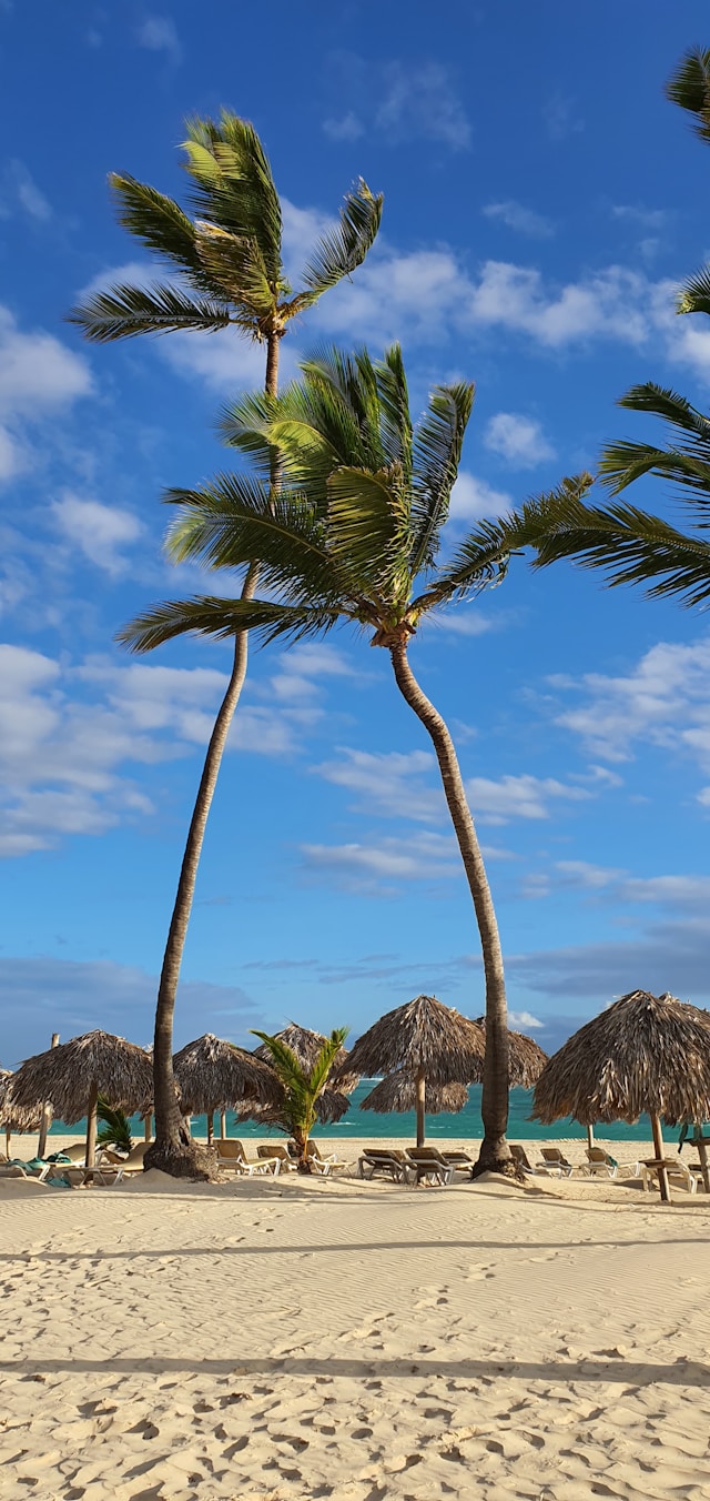 Relax en Punta Cana